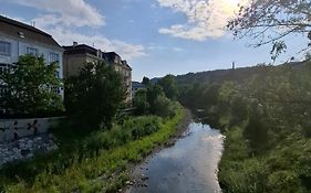 Adelin Vienna